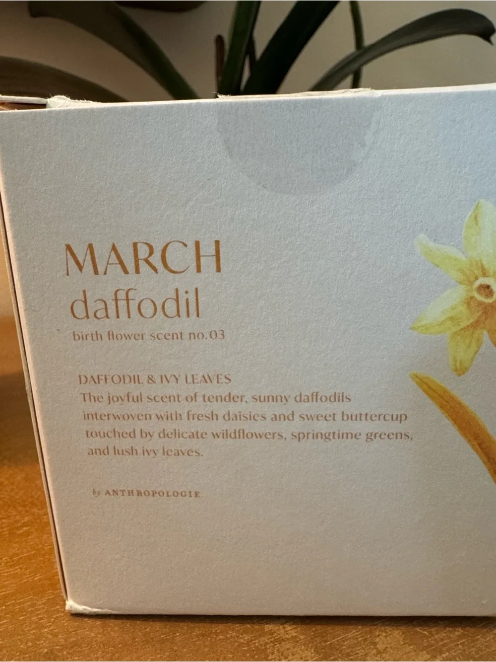Anthropologie March Floral Candle
